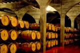 Open daily: La Ruta del Vino or Wine Route of Jumilla: visiting the wineries