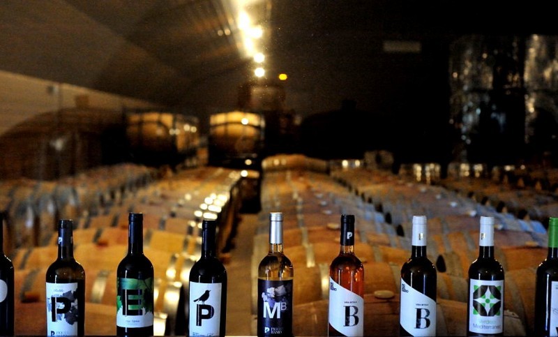 Open daily: La Ruta del Vino or Wine Route of Jumilla: visiting the wineries