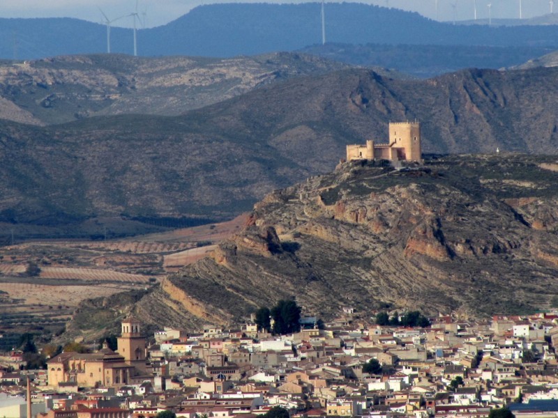 Open daily: La Ruta del Vino or Wine Route of Jumilla: visiting the wineries