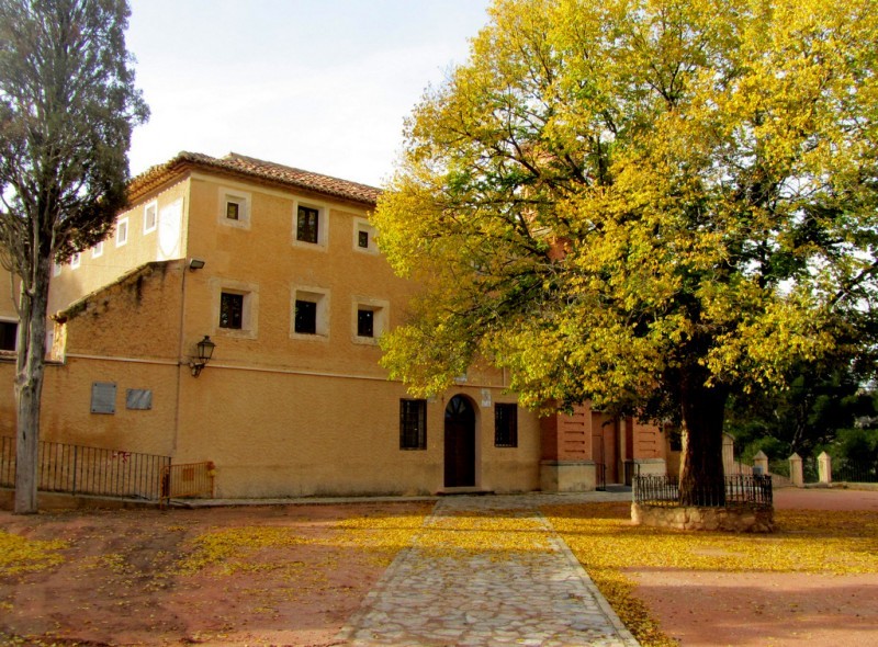 Open daily: La Ruta del Vino or Wine Route of Jumilla: visiting the wineries
