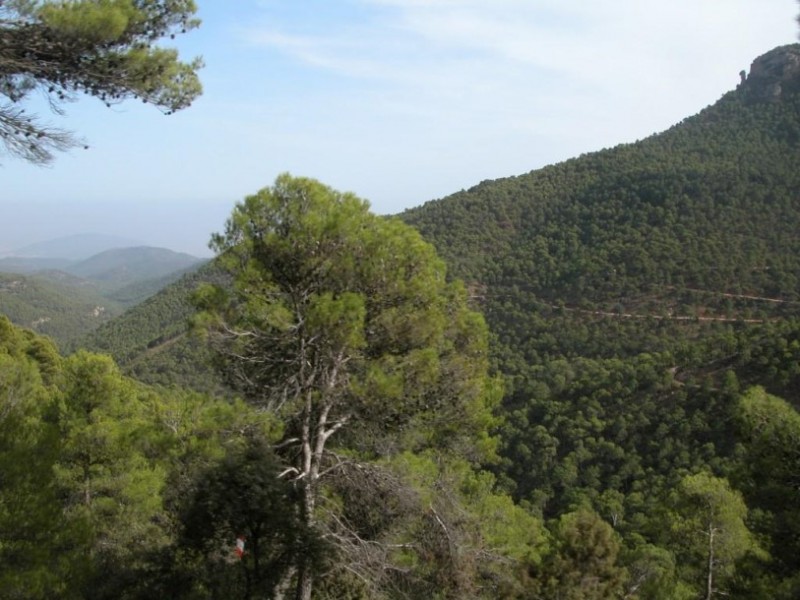 The mountains and regional park of Sierra Espuña in Alhama de Murcia