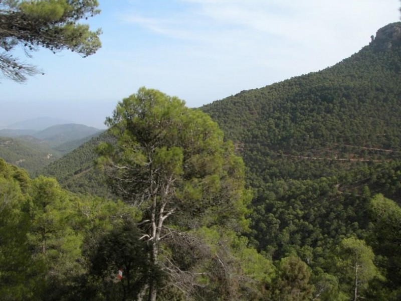 <span style='color:#780948'>ARCHIVED</span> - 17th to 23rd June: What's on in the Alhama de Murcia municipality