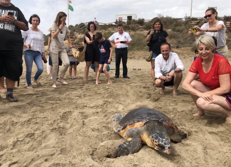 <span style='color:#780948'>ARCHIVED</span> - Loggerhead sea turtle re-released after being rescued near Cabo Tiñoso