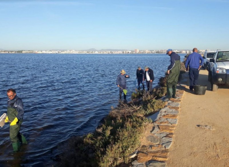 <span style='color:#780948'>ARCHIVED</span> - Mar Menor beaches re-open in San Pedro del Pinatar after thousands of dead fish were washed ashore
