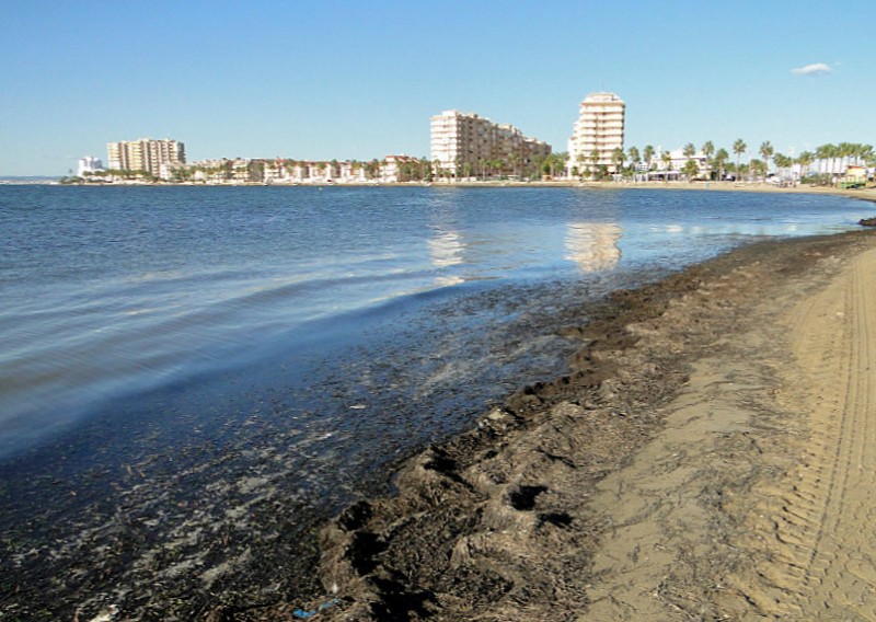 <span style='color:#780948'>ARCHIVED</span> - Costas identify 18 unauthorized locations where water runs off into the Mar Menor