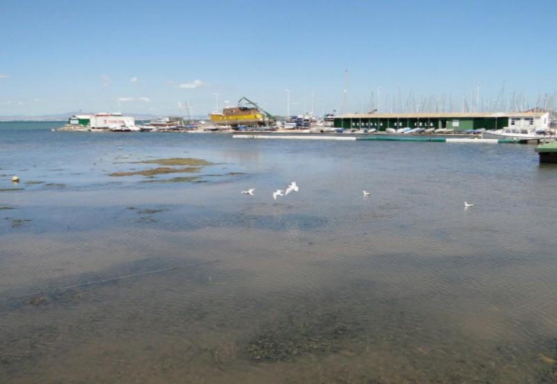 <span style='color:#780948'>ARCHIVED</span> - UN to investigate the deterioration of the Mar Menor