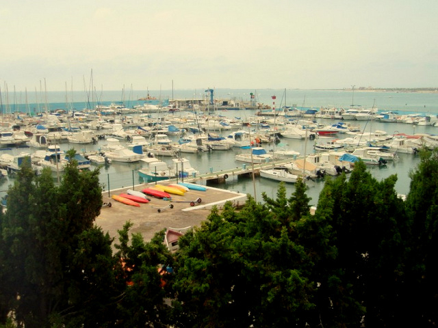 Sporting Marina, Torre de la Horadada