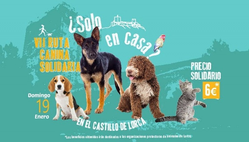 <span style='color:#780948'>ARCHIVED</span> - 19th January, Charity dog walk to Lorca castle followed by a doggy day in the fortress