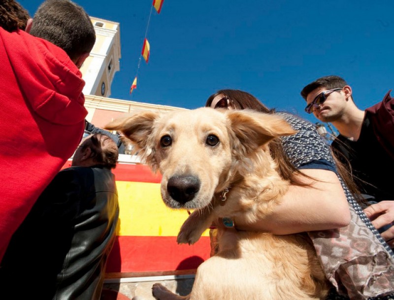 <span style='color:#780948'>ARCHIVED</span> - Friday 17th January Blessing of the animals in Cartagena