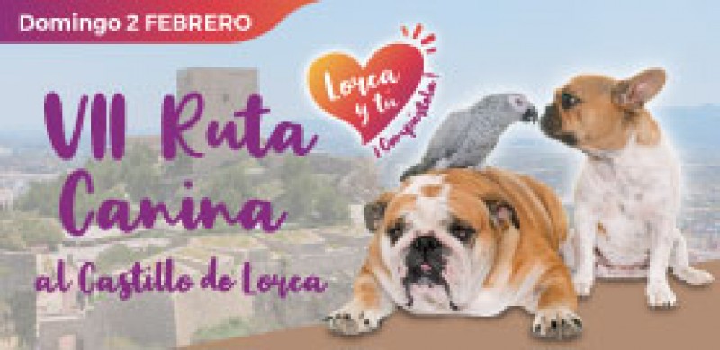 <span style='color:#780948'>ARCHIVED</span> - 2nd February Charity dog walk to Lorca castle followed by a doggy day in the fortress