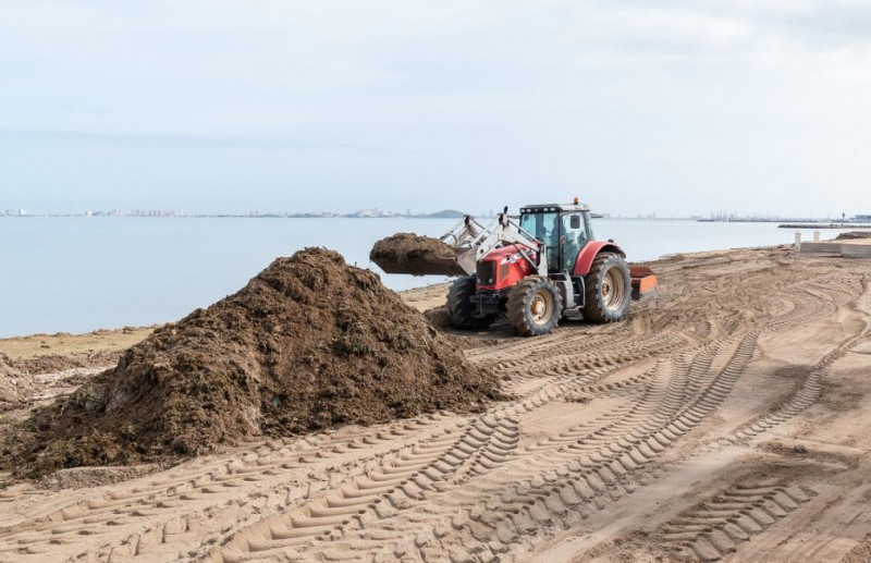 <span style='color:#780948'>ARCHIVED</span> - Restoration and cleaning continue at the Mar Menor and Mediterranean beaches of Cartagena