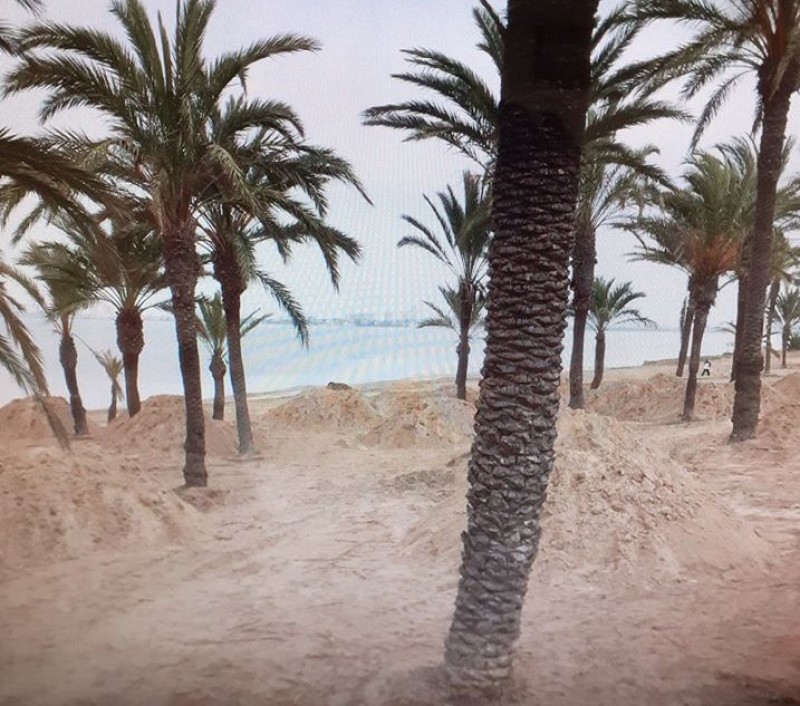 <span style='color:#780948'>ARCHIVED</span> - Sand going back on the beaches by Camping la Manga