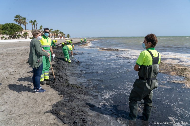 <span style='color:#780948'>ARCHIVED</span> - Murcia government commits 90 personnel to clean Mar Menor beaches