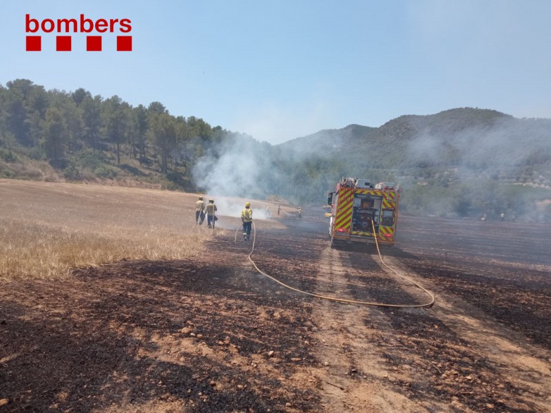 <span style='color:#780948'>ARCHIVED</span> - Third of fires in Catalonia caused by discarded cigarette butts