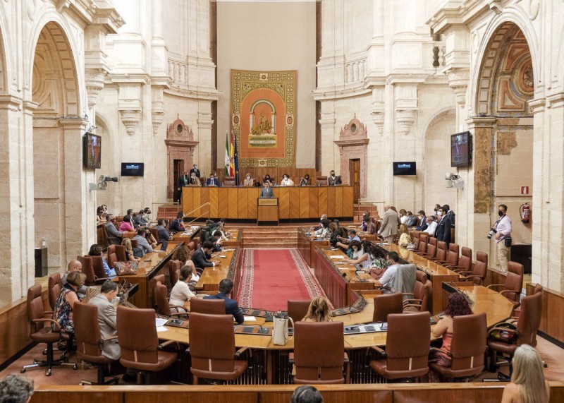 <span style='color:#780948'>ARCHIVED</span> - Rat causes chaos during Andalusia Parliamentary Session