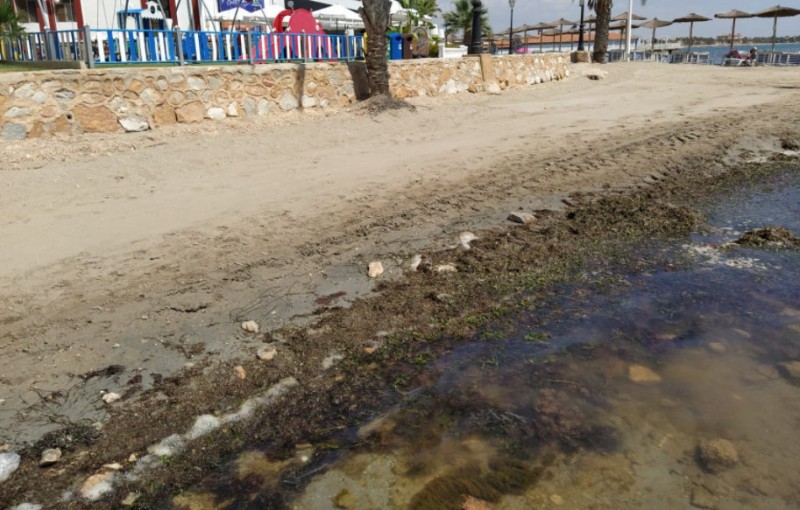 <span style='color:#780948'>ARCHIVED</span> - Costas updates Mar Menor Protection Plan removing reference to clearance of silt deposits