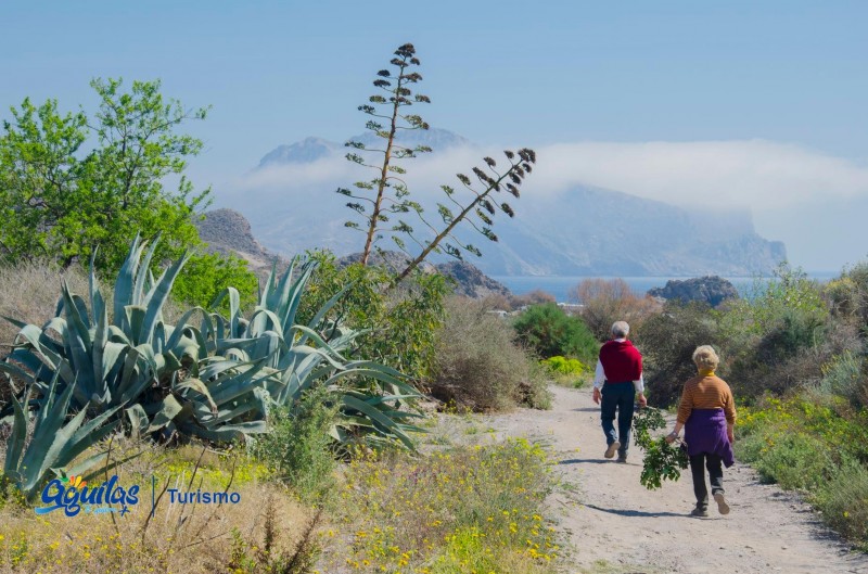 <span style='color:#780948'>ARCHIVED</span> - Free guided tours of Aguilas during September