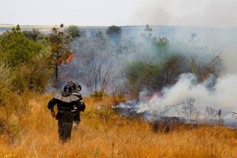 What kind of person starts a forest fire? Portrait of an arsonist in Spain