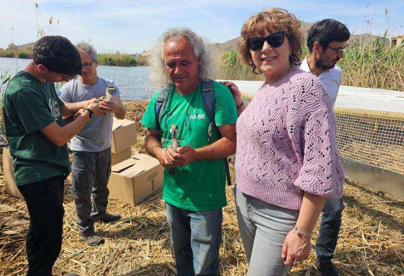 <span style='color:#780948'>ARCHIVED</span> - 20 protected ducks released back into the wild in Mazarron