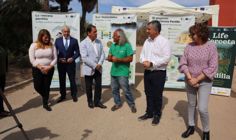 <span style='color:#780948'>ARCHIVED</span> - 20 protected ducks released back into the wild in Mazarron