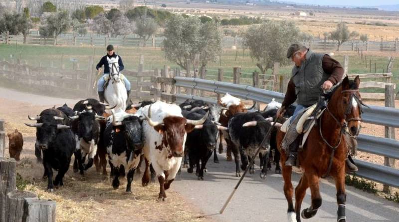 Nazario livestock farm affiliated to the Yecla Wine Route