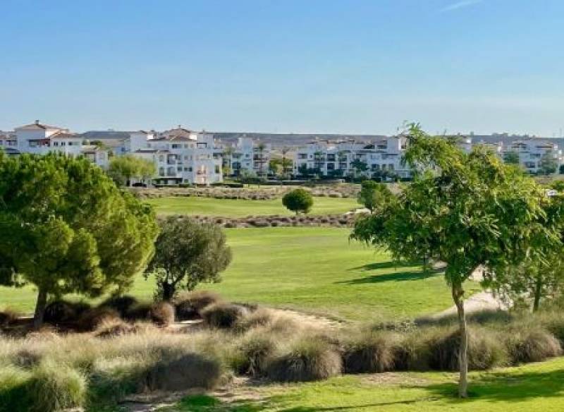 Getting to Hacienda Riquelme Golf Resort: Transport, infrastructure and connections around the Murcia resort 
