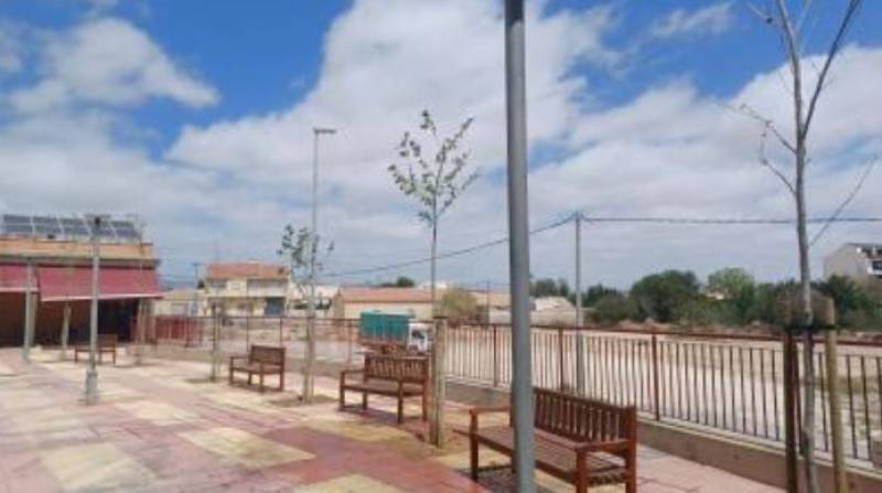 Ten new shade trees planted in Los Martínez del Puerto Cultural Centre