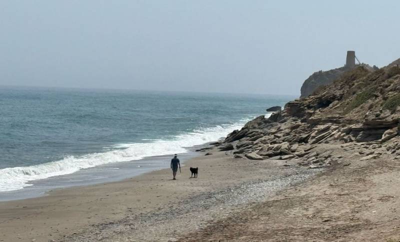This is where a brand-new dog-friendly beach has opened in Almería