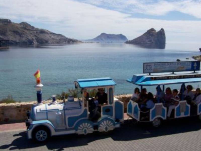 What's on in Águilas August 2025