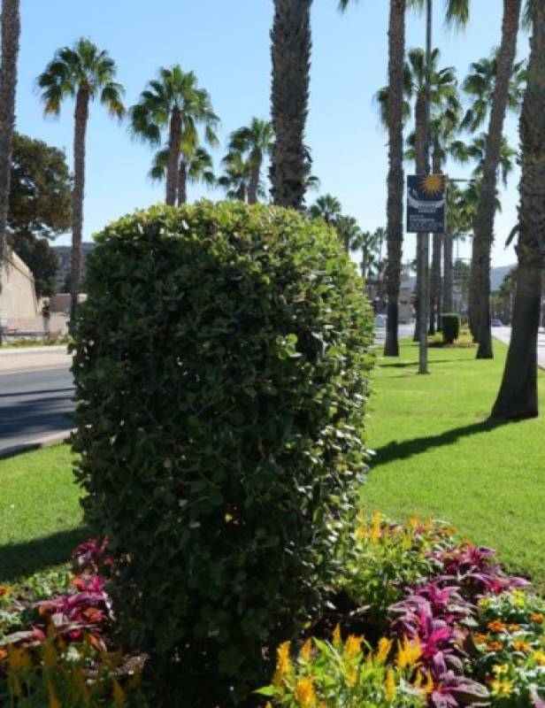 Gardens on Cartagena's Avenida del Cantón get a fresh new look ahead of festival season