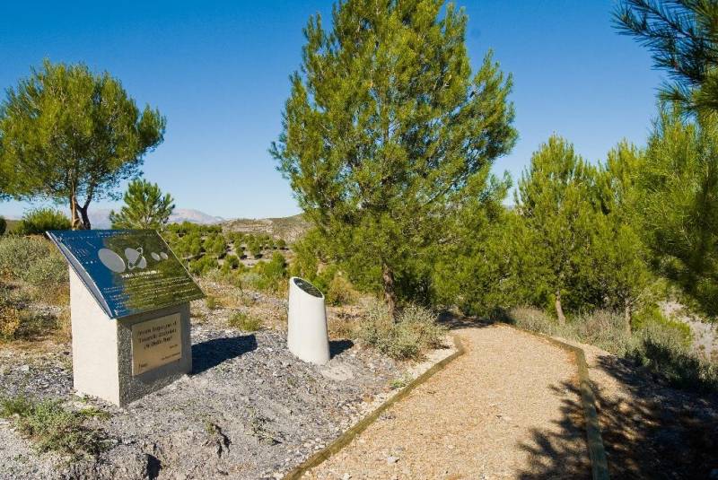 Step into September: Five scenic Murcia hikes to try this month