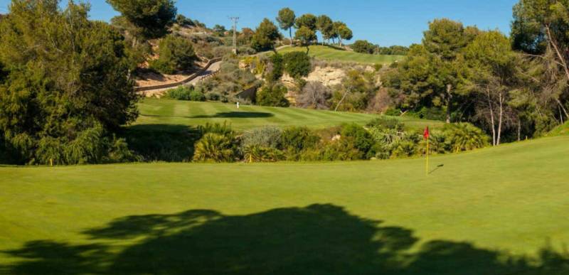 La Encarnación tourist apartments in Los Alcázares
