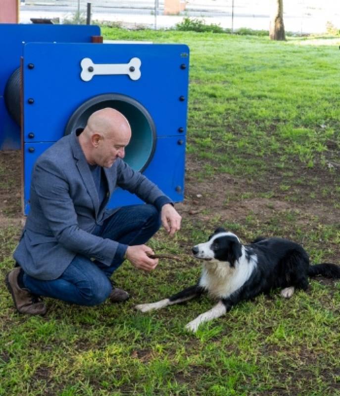 Cartagena's dogs get a new park by the stadium