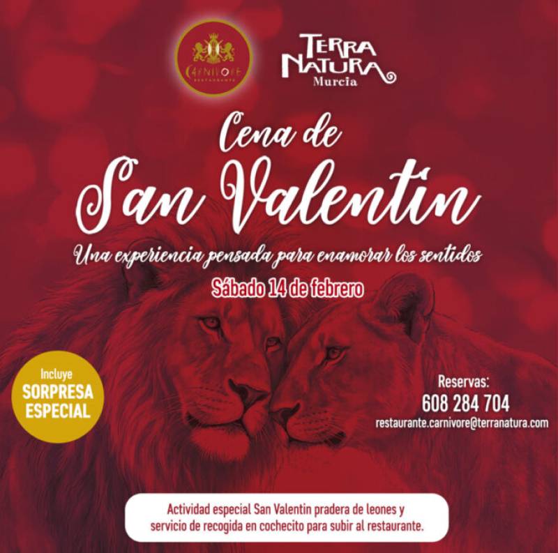February 14 Romantic Valentine's Day dinner at Terra Natura Murcia