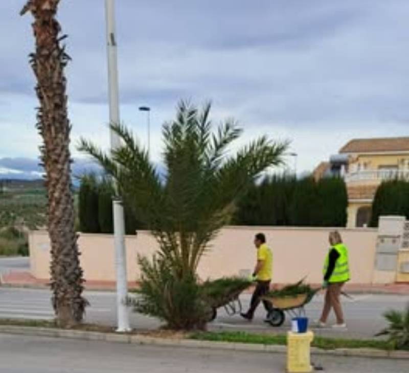 B Clean team gets to work on latest Camposol gardening project