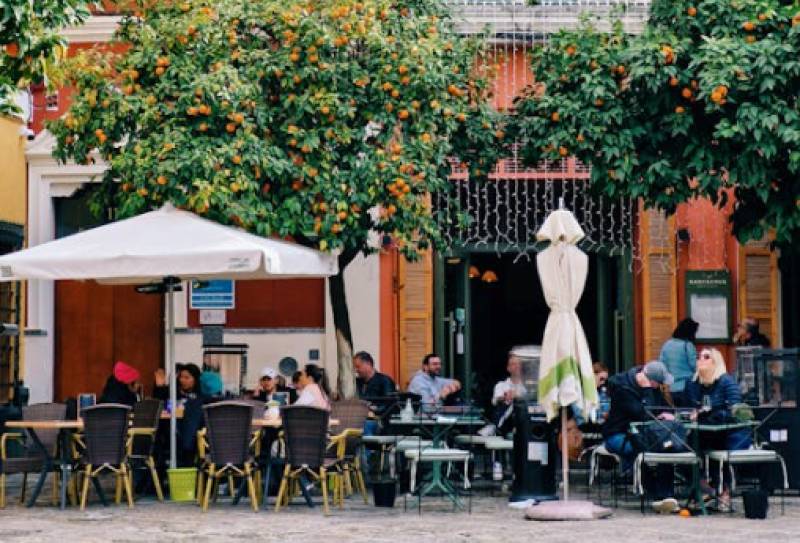 Murcia's streetside oranges: 640 tons collected but not for eating