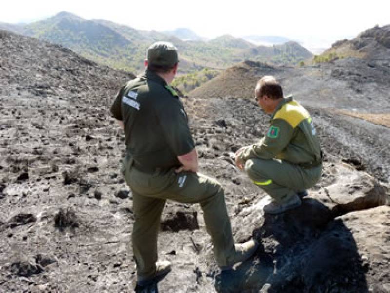 Murcia's environmental agents step up patrols with 791 complaints in 2025