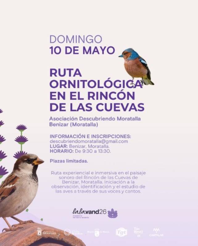 May 10 Free bird-watching walk in the Moratalla countryside