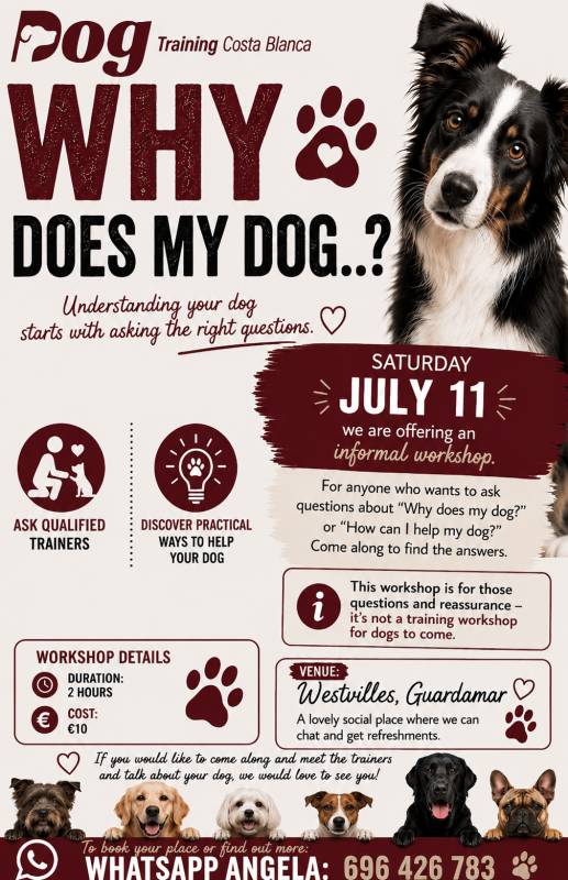 July 11 DogTraining Costa Blanca launches new Q&A workshop for dog owners