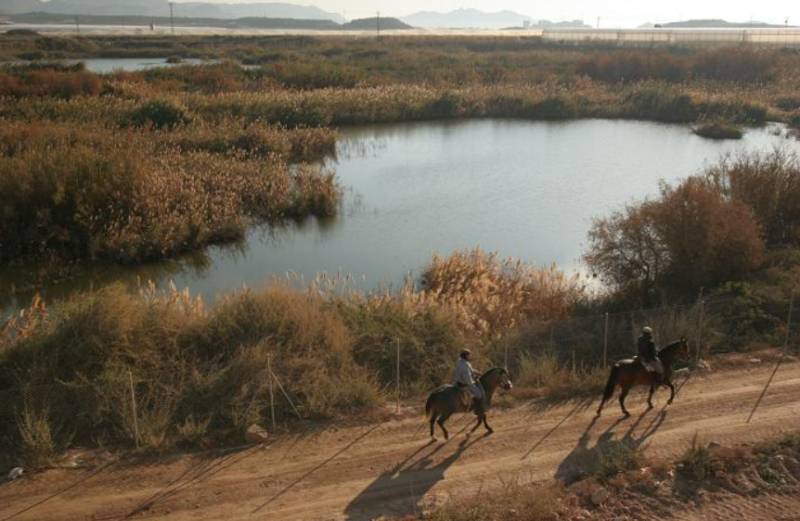 Mazarrón unveils new birdwatching hides at Moreras wetlands