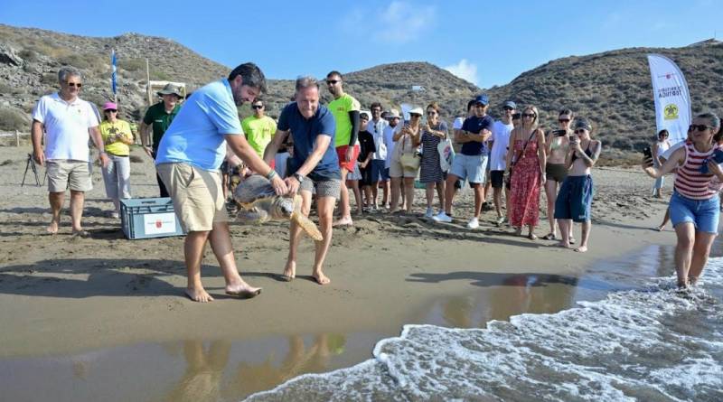 Two loggerhead turtles re-released into the Mediterranean at Lorca beach