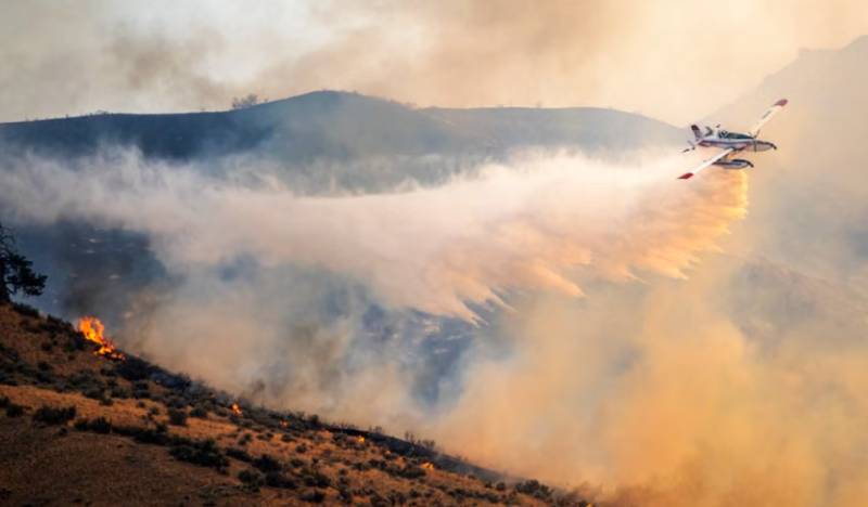 Spain has burned through nearly 300,000 hectares of land this year, almost half of the EU's entire total