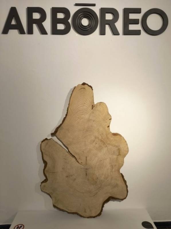 November 4 to December 3 Exhibition of the life of trees in Alhama de Murcia