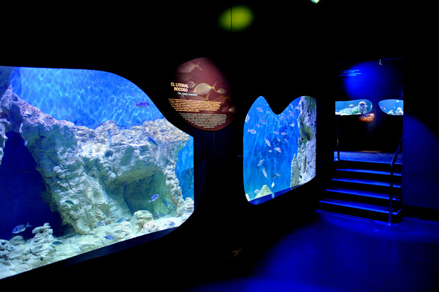 The CIMAR museum and aquarium in Águilas