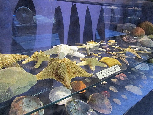 The CIMAR museum and aquarium in Águilas