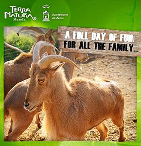 Terra Natura March Goat 2023